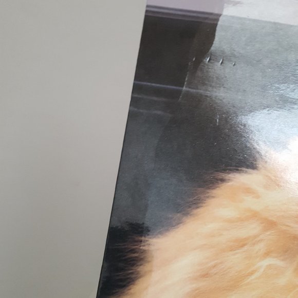 School Supplies Folder, Pencil Box, Wide-Ruled Paper, Colored Pencils *AS IS - Picture 8 of 15